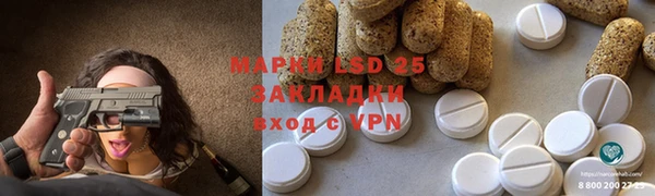 PSILOCYBIN Богородицк