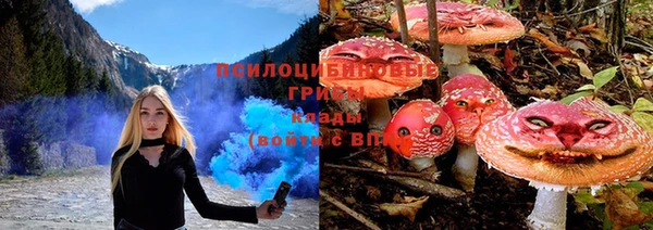 PSILOCYBIN Богородицк